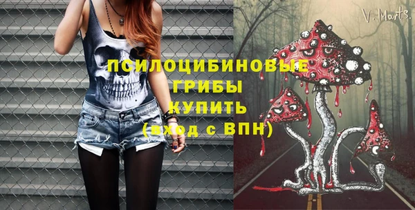 PSILOCYBIN Надым
