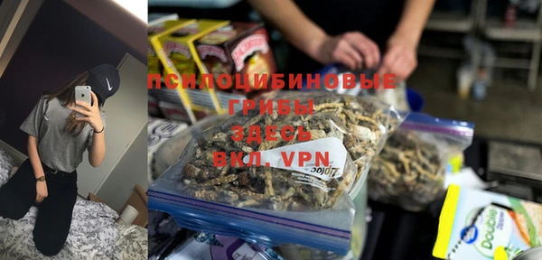 PSILOCYBIN Надым