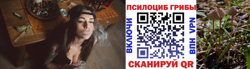 Галлюциногенные грибы мухоморы  MEGA зеркало  Копейск 