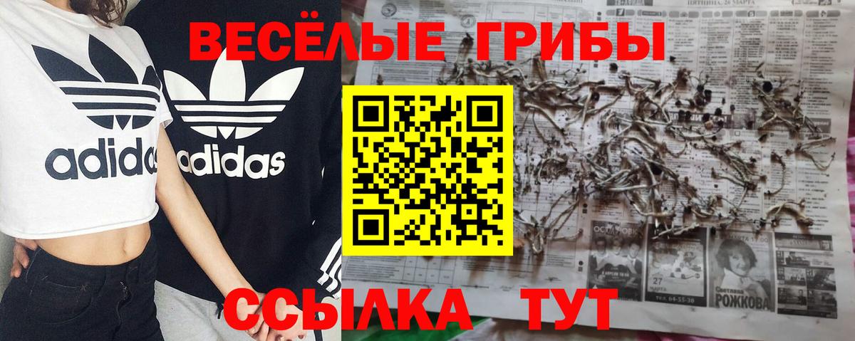 Галлюциногенные грибы Psilocybine cubensis  Вход с VPN  Копейск 